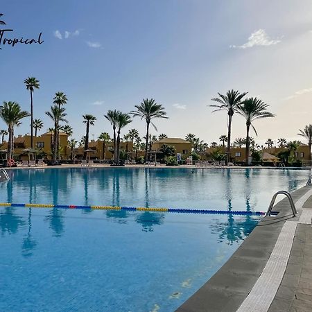 Oasi Tropical Wifi Free By Rentalfue Corralejo Eksteriør bilde