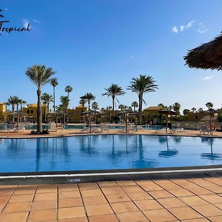 Oasi Tropical Wifi Free By Rentalfue Corralejo Eksteriør bilde