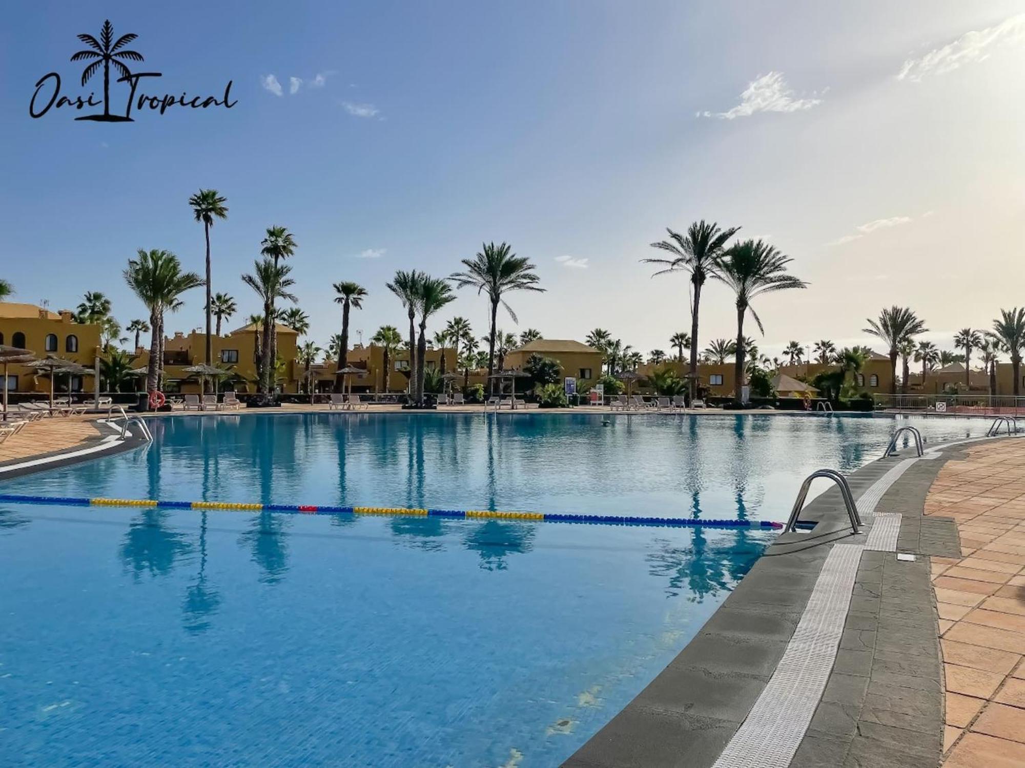 Oasi Tropical Wifi Free By Rentalfue Corralejo Eksteriør bilde