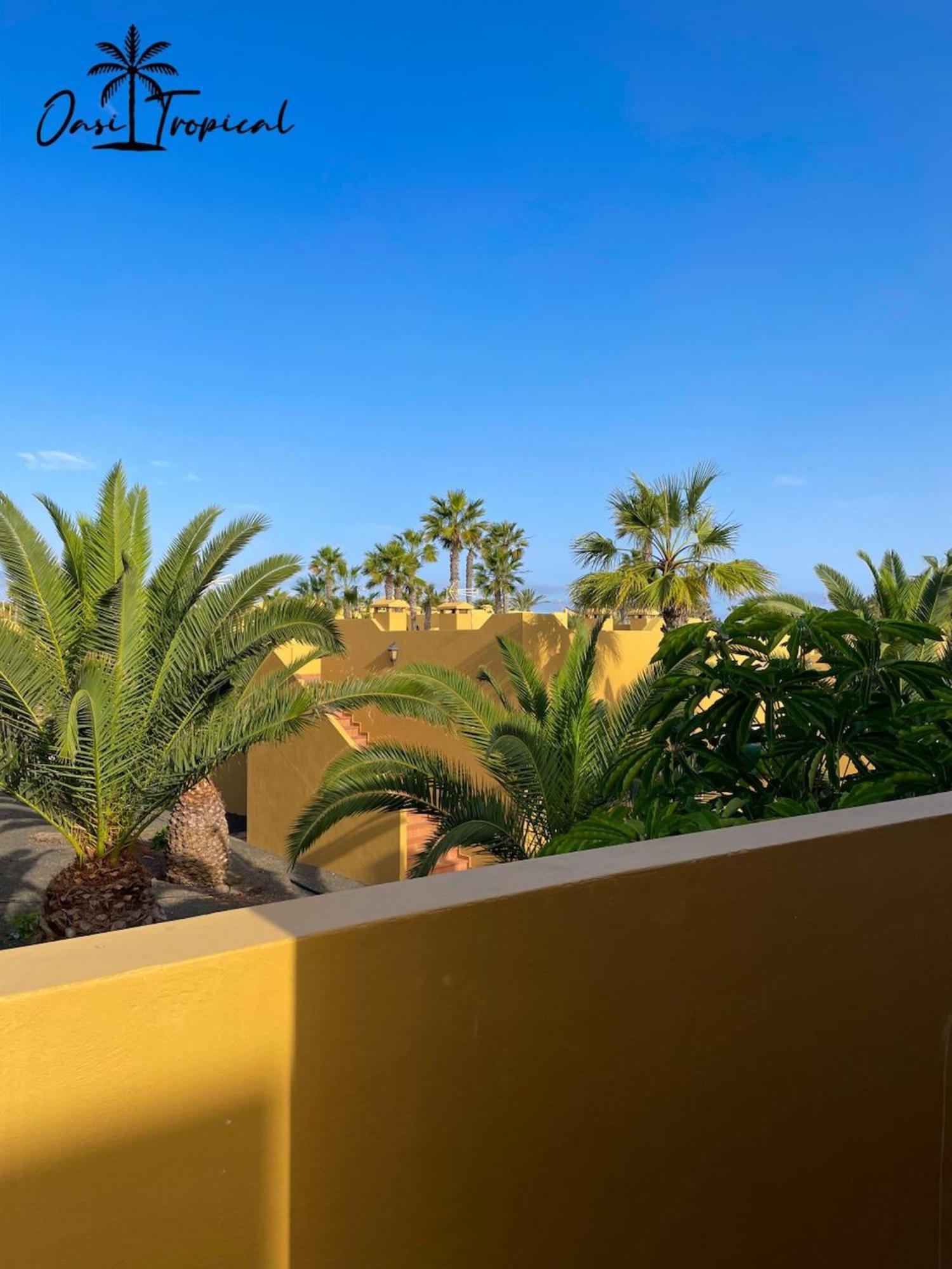 Oasi Tropical Wifi Free By Rentalfue Corralejo Eksteriør bilde