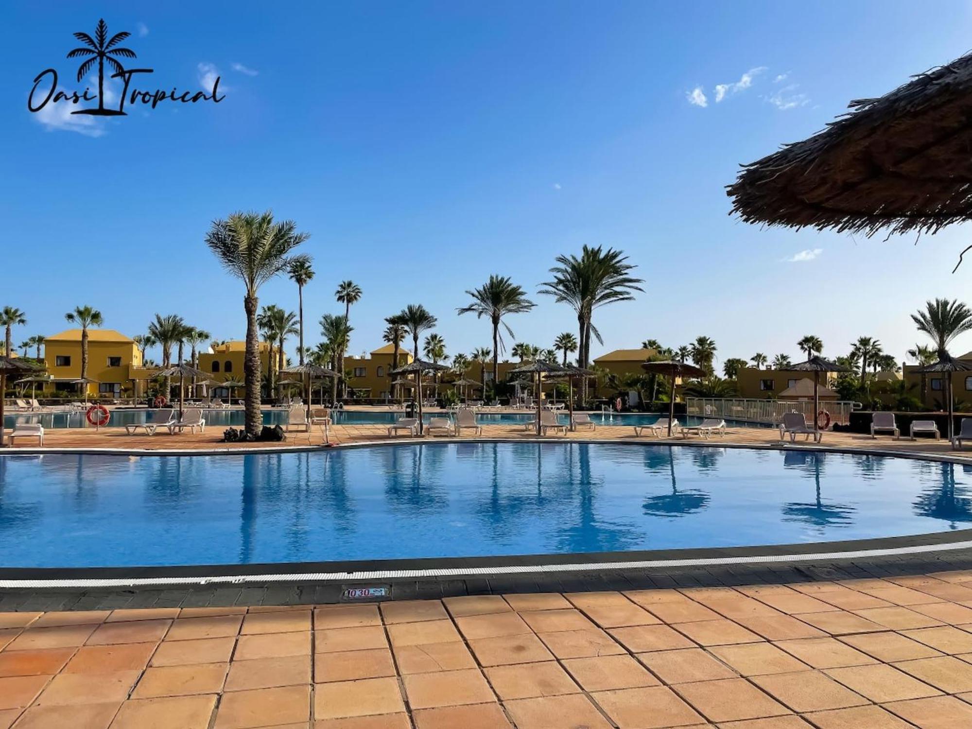 Oasi Tropical Wifi Free By Rentalfue Corralejo Eksteriør bilde