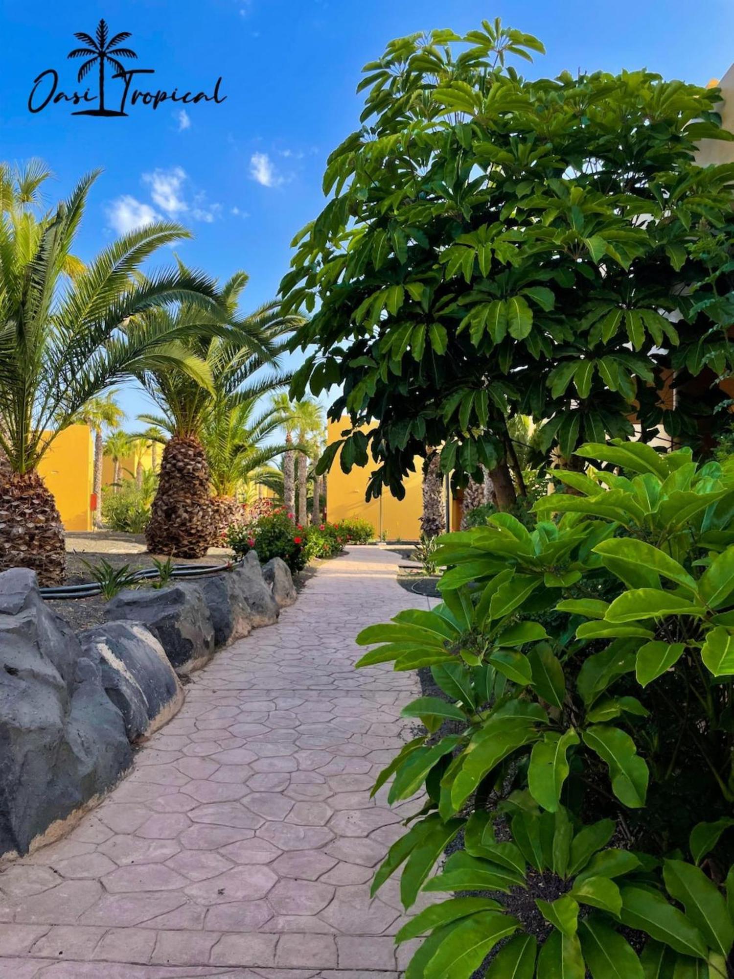 Oasi Tropical Wifi Free By Rentalfue Corralejo Eksteriør bilde